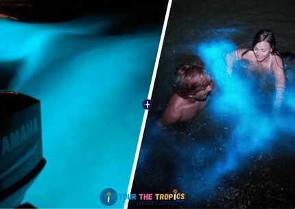 Luminous Lagoon Night Experience with Boat Ride & Swim